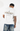 Culture Heritage - 8th Collection Tee | White (8th Anniversary Edition)